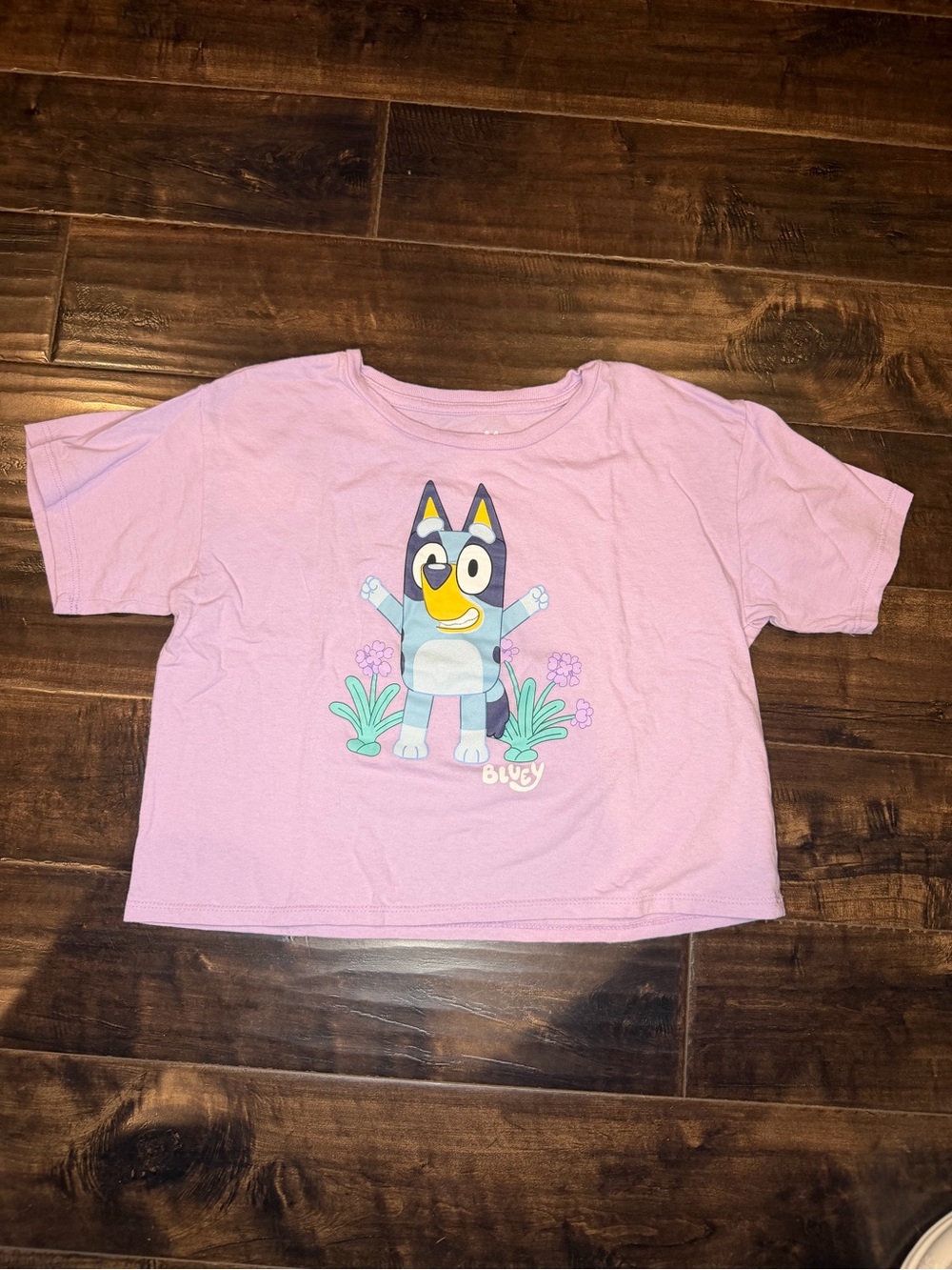 Target Purple Short Sleeve Tee with Bluey Character girls X-Large